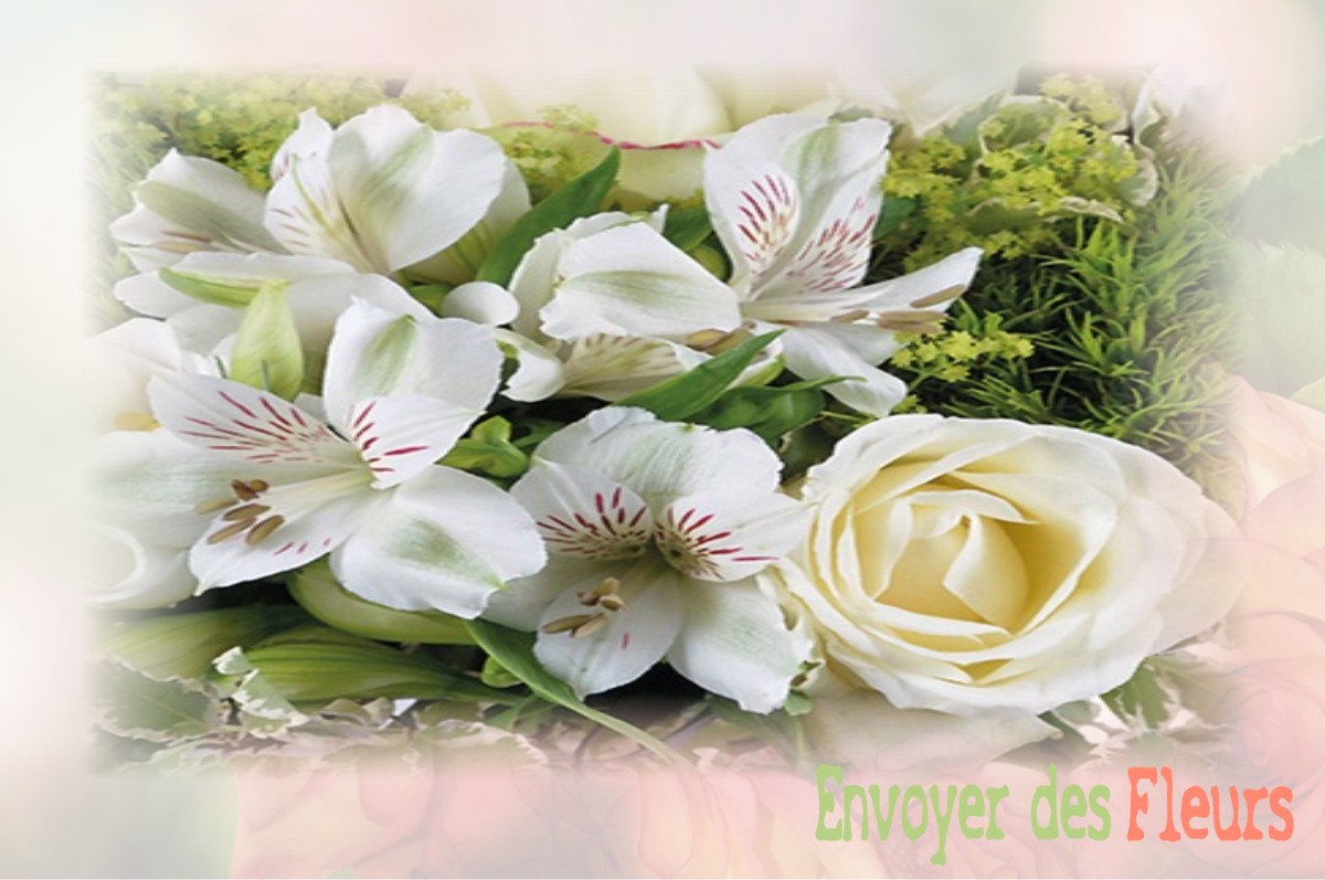 envoyer des fleurs à à ABONCOURT-SUR-SEILLE